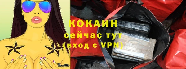 прущие грибы Балахна
