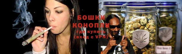 прущие грибы Балахна
