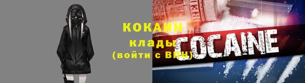 прущие грибы Балахна