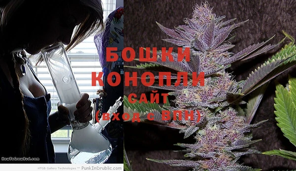 прущие грибы Балахна