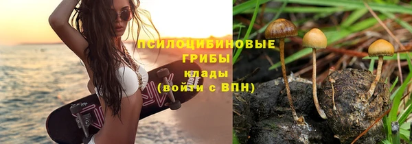 прущие грибы Балахна