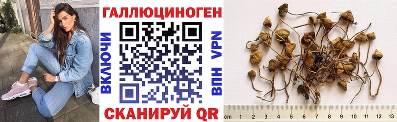 Галлюциногенные грибы MAGIC MUSHROOMS  Печоры 
